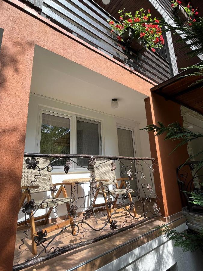 Apartment Am Tannenweg 巴登韦勒 外观 照片
